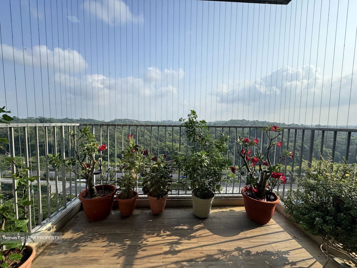 Blossom Residences (D23), Condominium #612600301